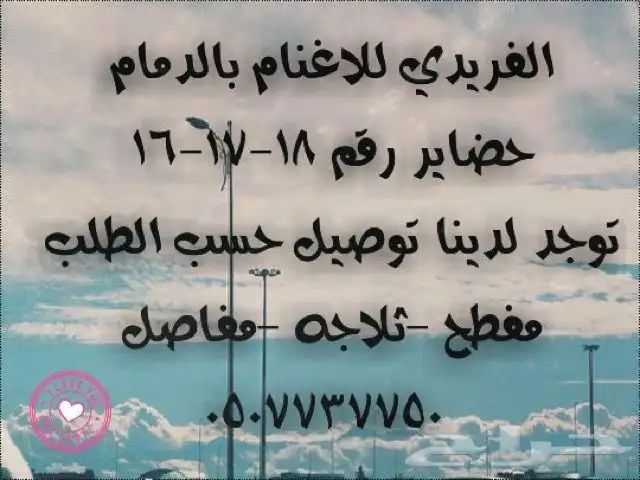 خرفان ذبايح توصيل 10