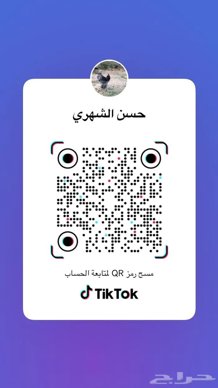 صوص صيصان فروخ بلدي عدد10الف الالوان فواتح 15