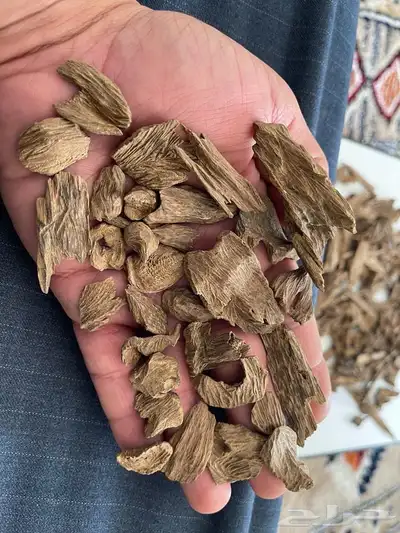 عود كلمنتان طبيعي نقوه وطيب 3