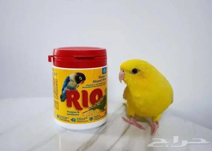 اكل طيور سيريلاك مكملات غذاء انتاج روز كاسكو مكاو كروان 0