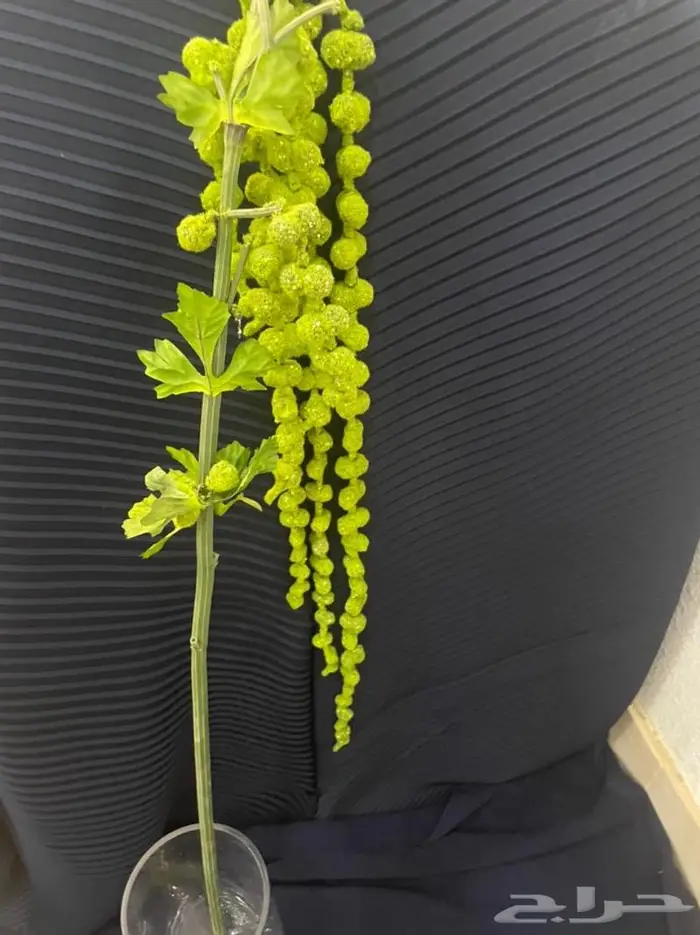 وردصناعي جمله ومفرق ( خصم خاص لكامل الكميه) 9