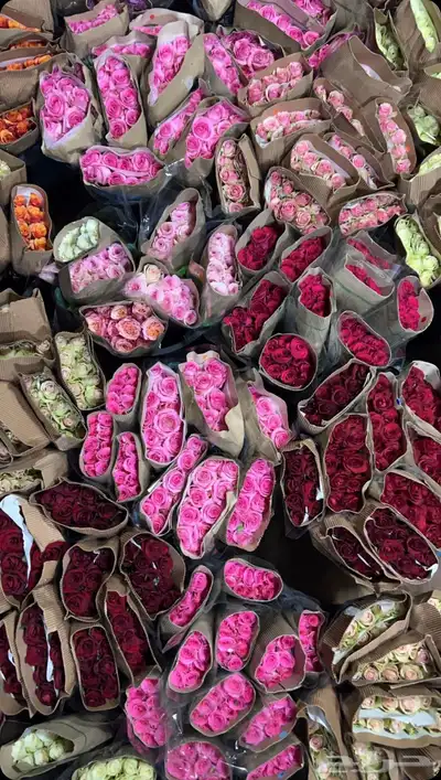 باقات ورد تنسيق وتشريع سيارات وتوصيل 0