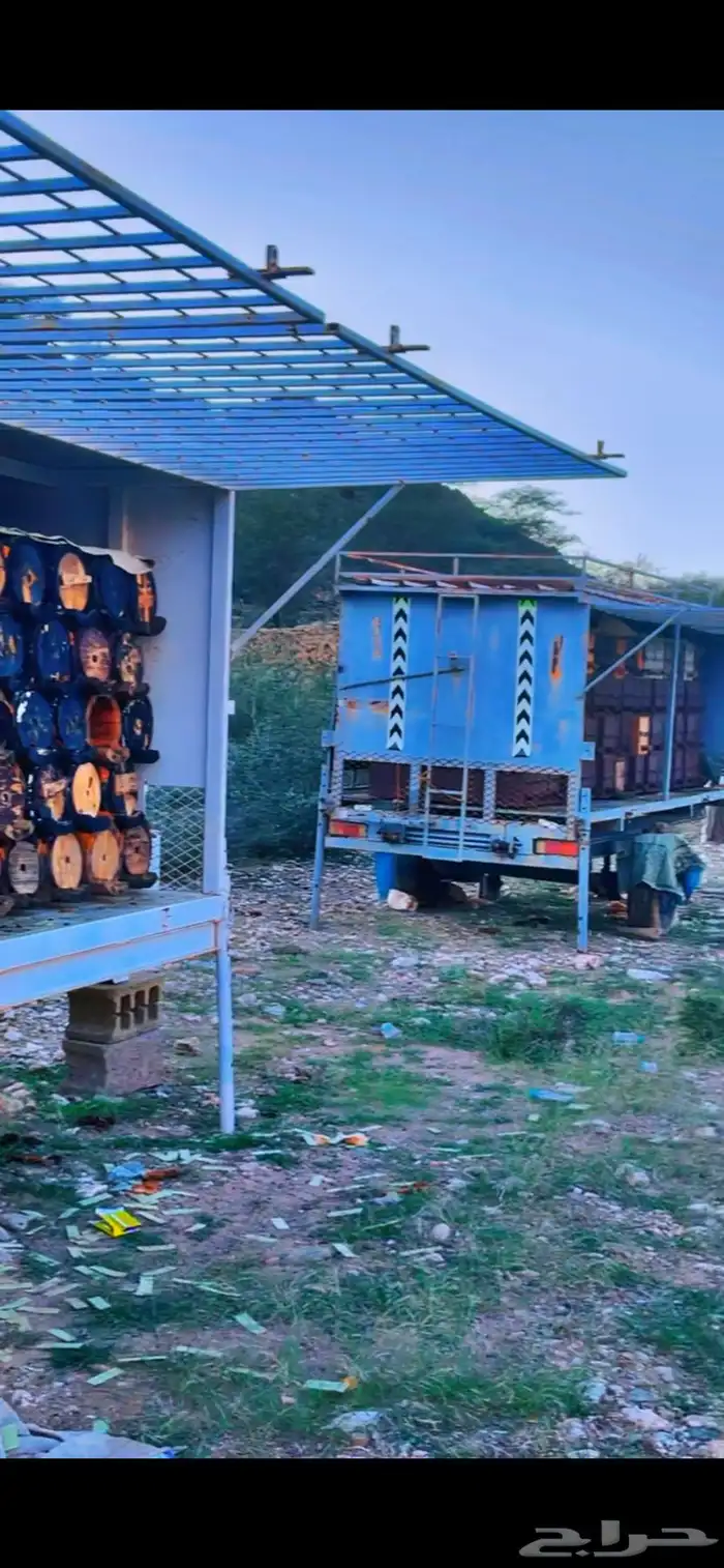 عسل جبلي صافي من منحلي شخصي ا بلدي 23