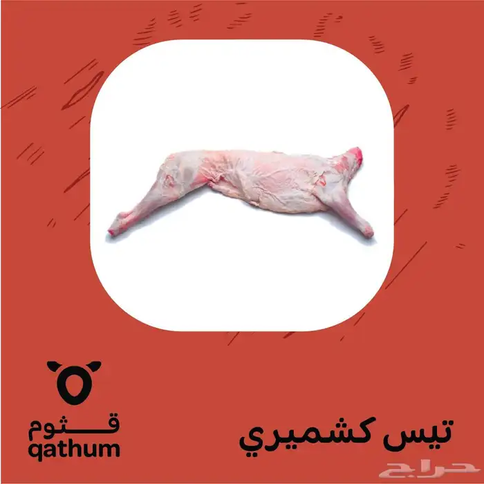 ذبائح نعيمي وسواكني وخروف استرالي وحاشي وعجل 3
