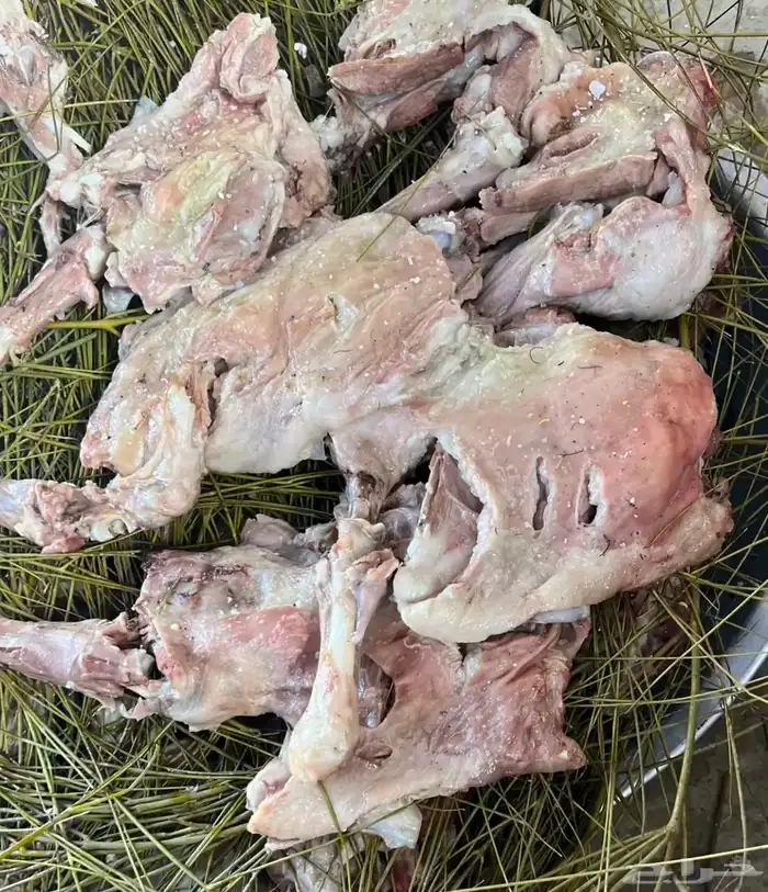 مرخ طازج للحنيذ والمندي يقطف يوم طلبك 2
