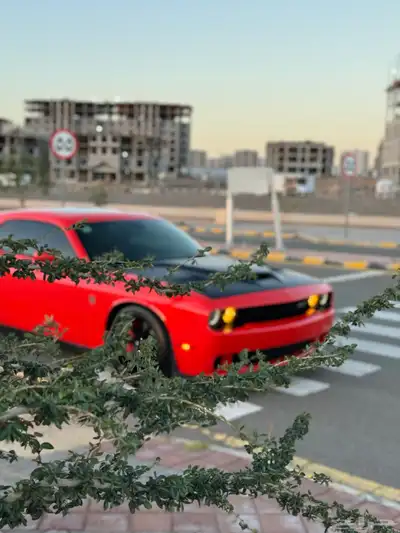تشالنجر هيلكات Go Mango 13