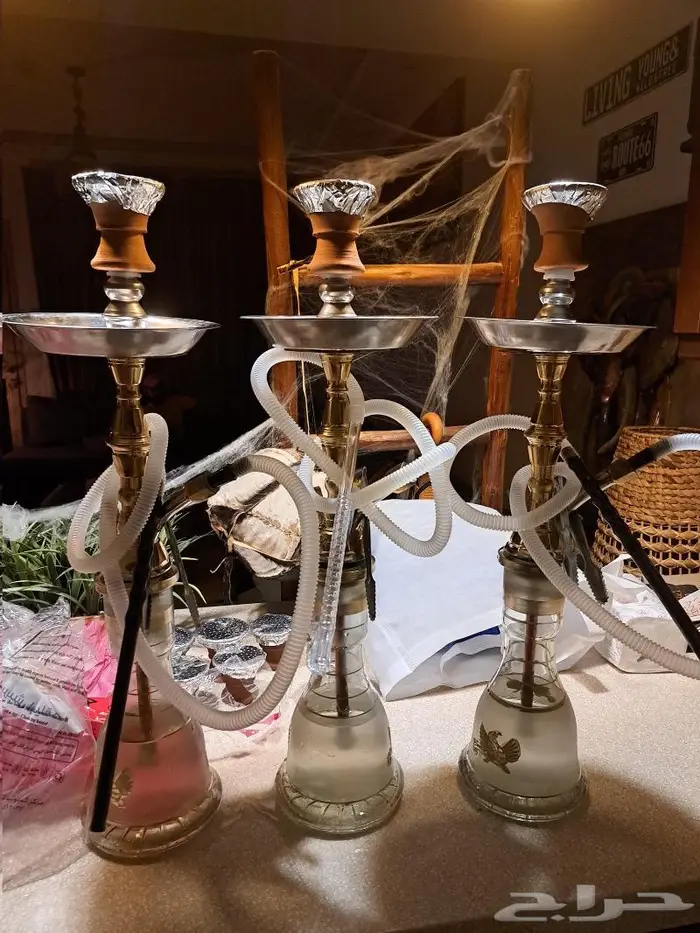 تاجير شيش الرياض 2