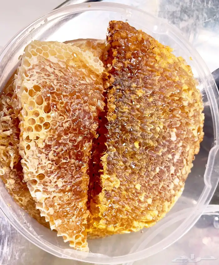 عسل سدر جبلي وسمره وطلحه وضهيانه وقتاده وعسل ملكي خاص 2