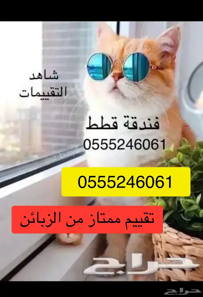شاهد التقييمات - فندقة وقت سفرك قطط وطيور - مخرج 5 1