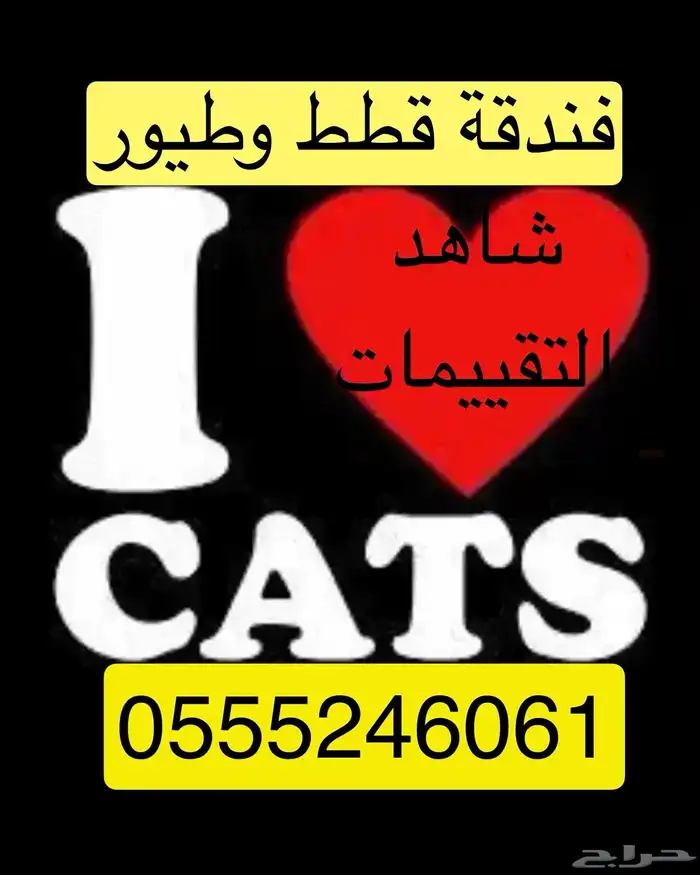 شاهد التقييمات - فندقة وقت سفرك قطط وطيور - مخرج 5 0