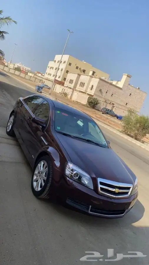 عرض السيارات وبيعها 11
