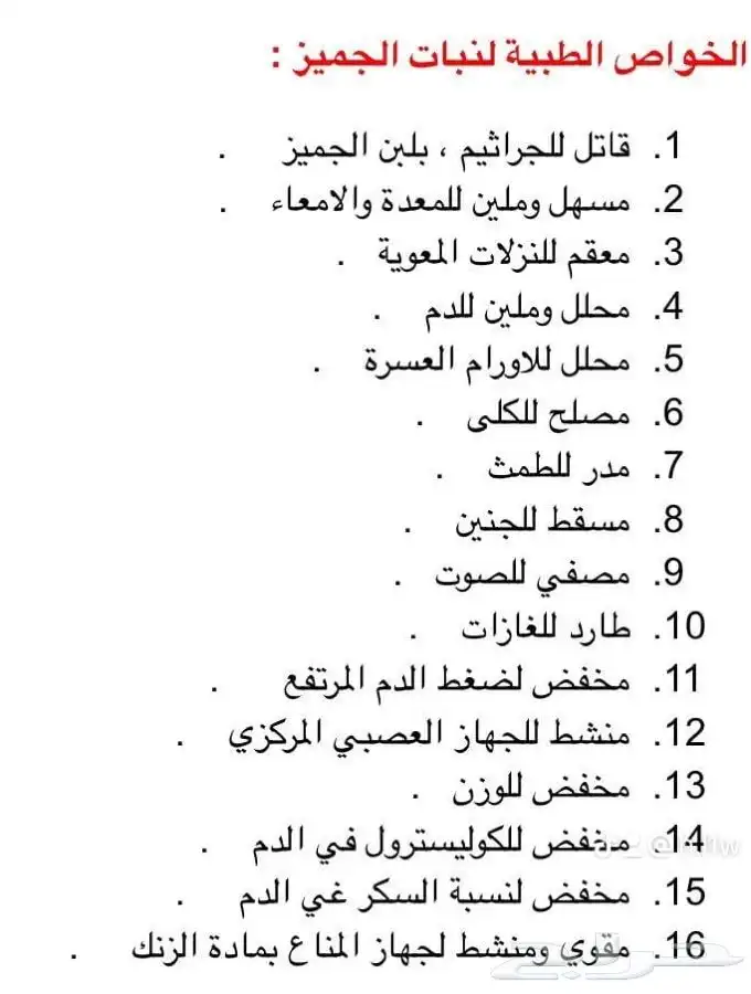شجرة الجميز النادرة 10