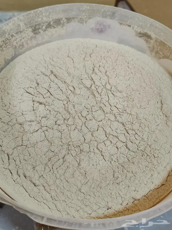 نبات نخيل فحال بار النخيل بودر بودره قمح الاحساء 11