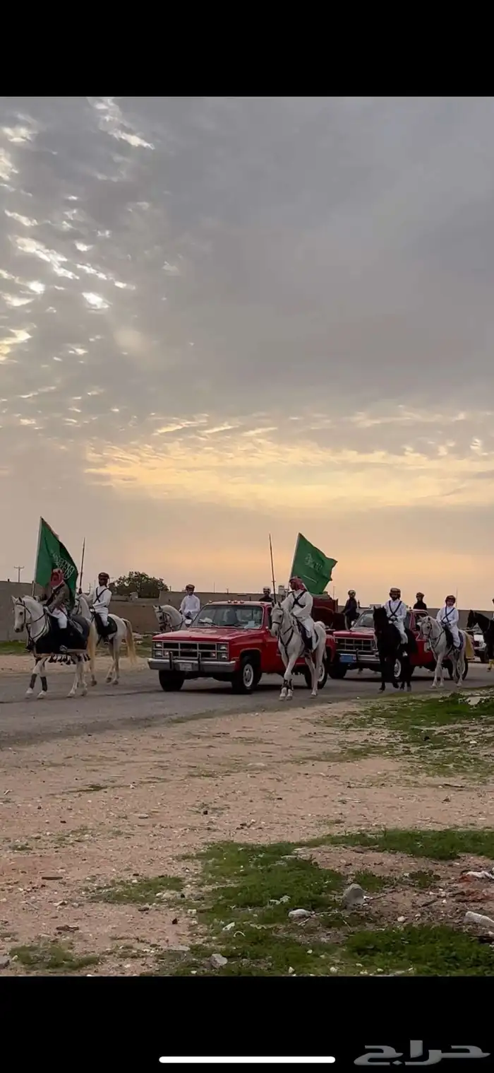 خيل 11