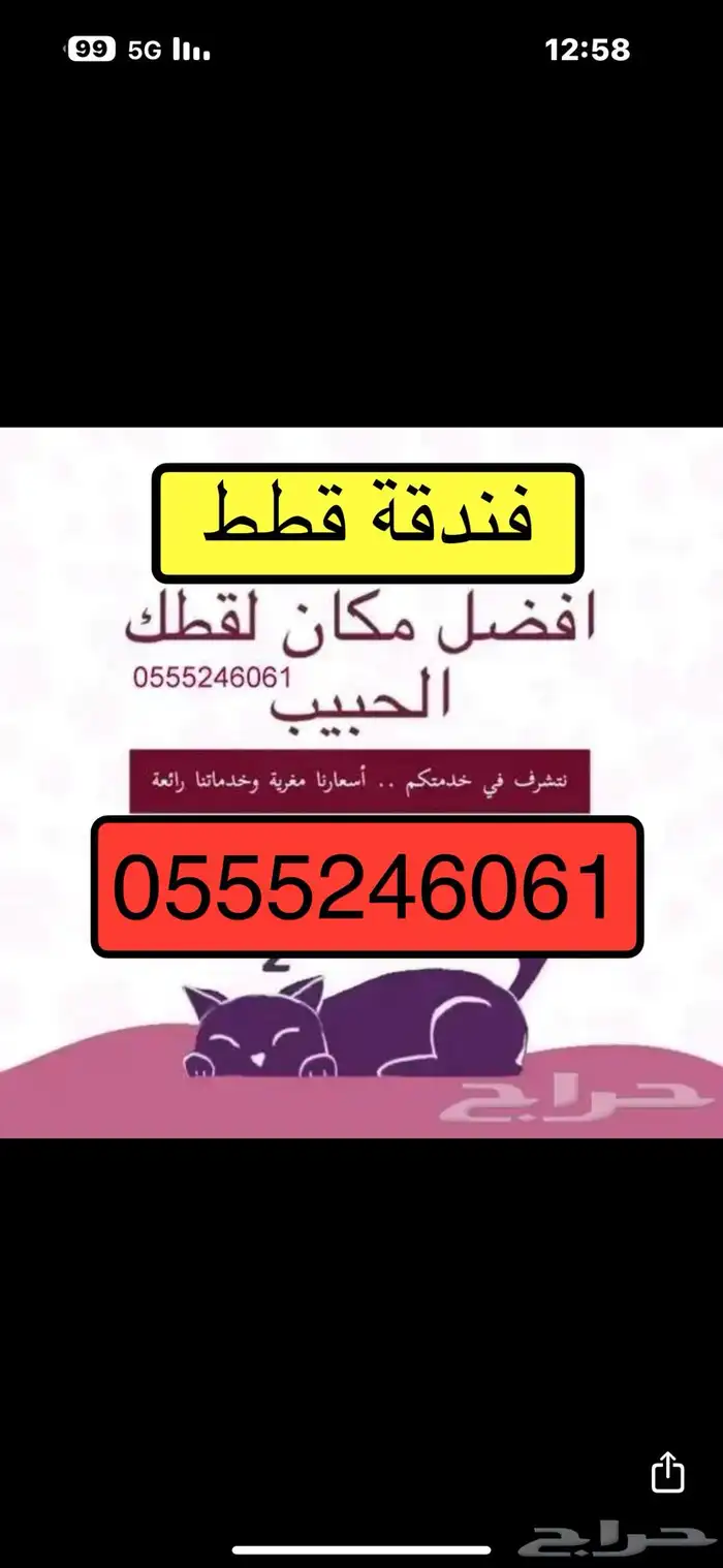 شاهد التقييمات - فندقة وقت سفرك قطط وطيور - مخرج 5 2
