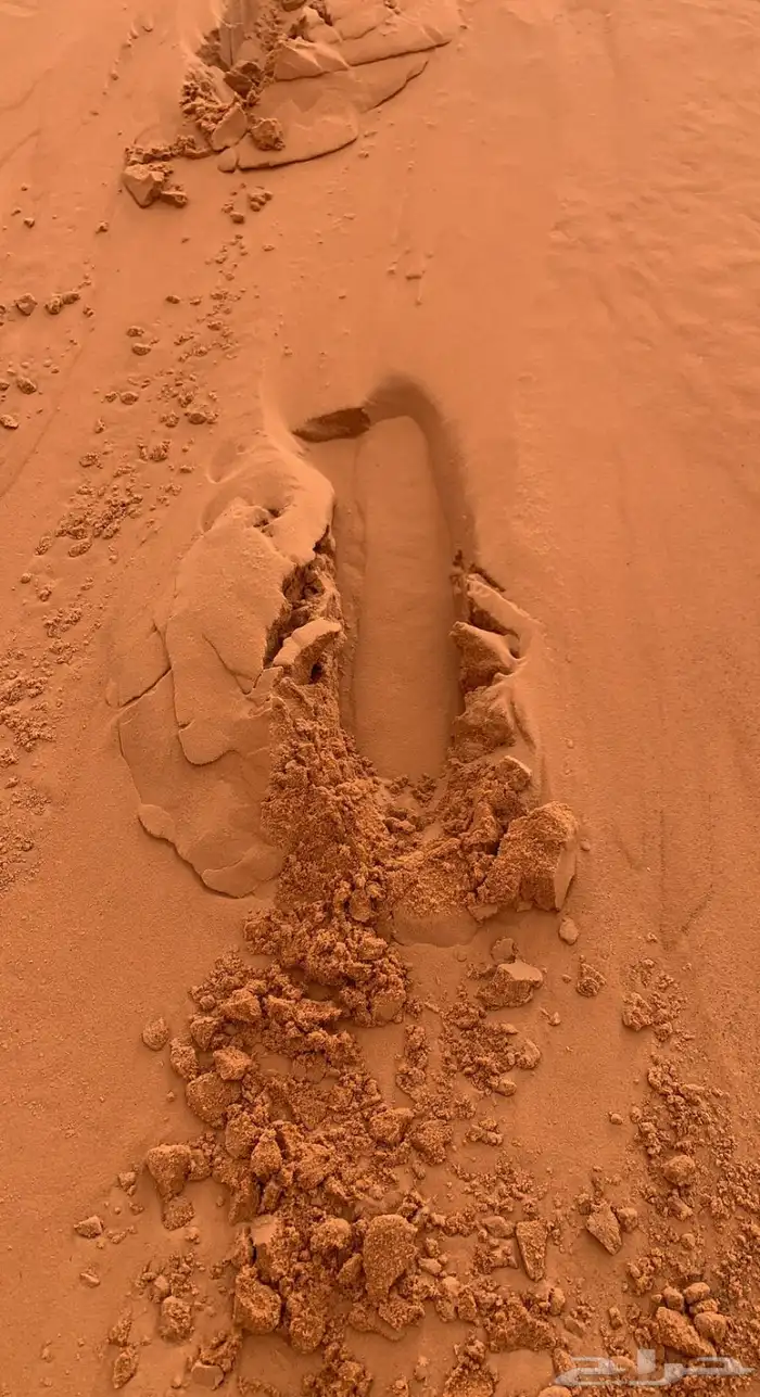 توريد رمل نفود ناعم احمر كميات كبيره 0