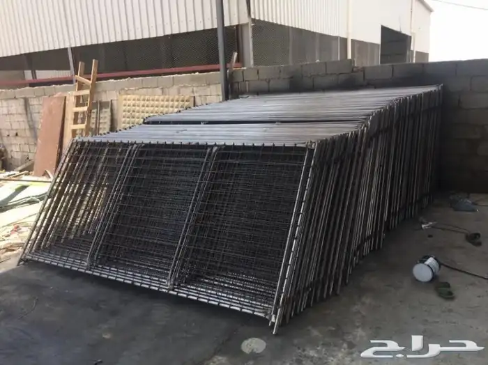 شبوك ابل مضلا ابل 1