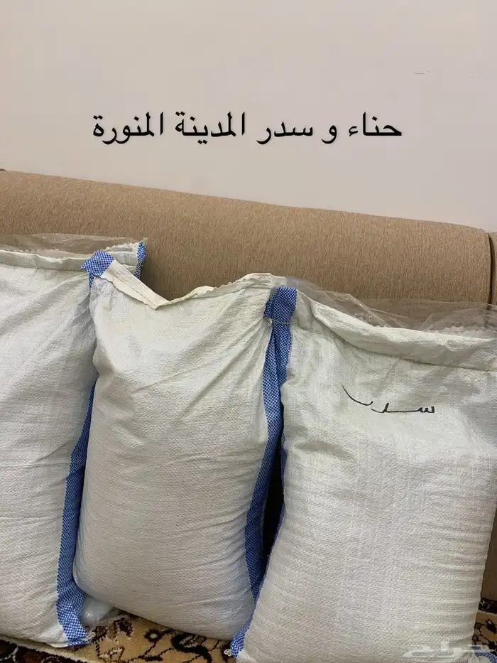 حناء و سدر المدينة المنورة 1