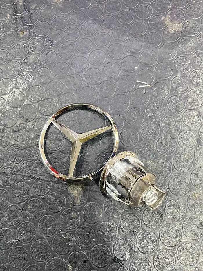 علامه كبوت مرسيدس نوعيه المانيه 1