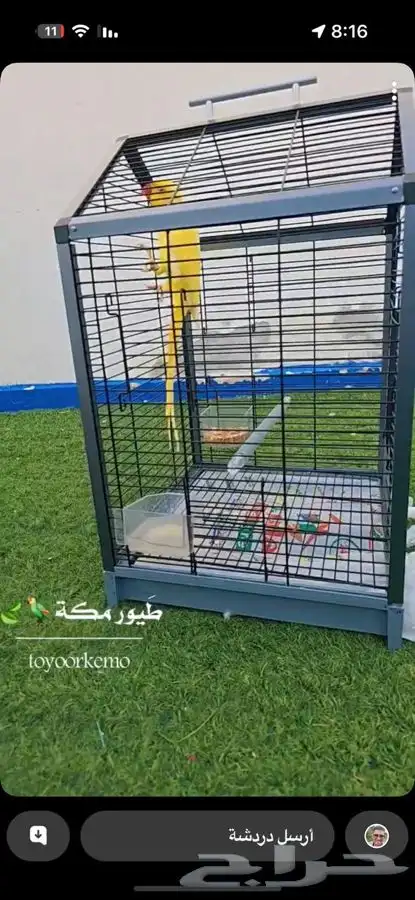 أقفاص طيور خشب 16