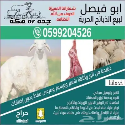 ذبايح حريه من البر مع الذبح والتوصيل مجاني 21