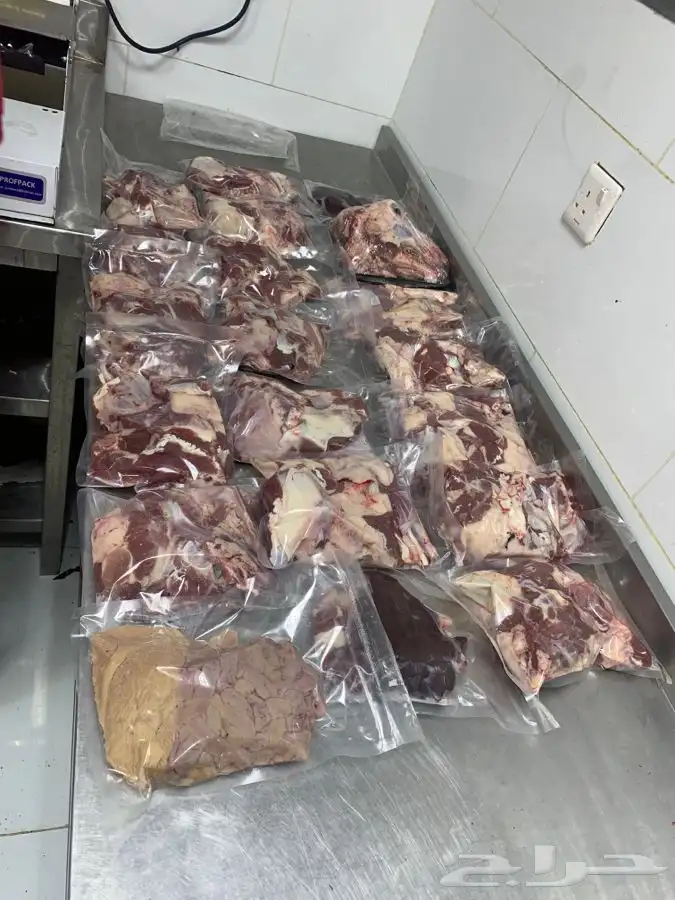 غنم حريات نظيفه وشي طيب من الاخر 8