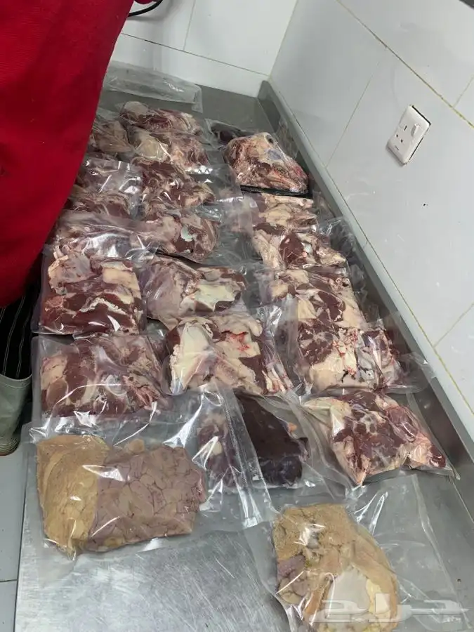 غنم حريات نظيفه وشي طيب من الاخر 9