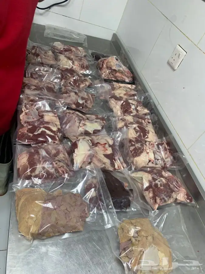 غنم حريات نظيفه وشي طيب من الاخر 10