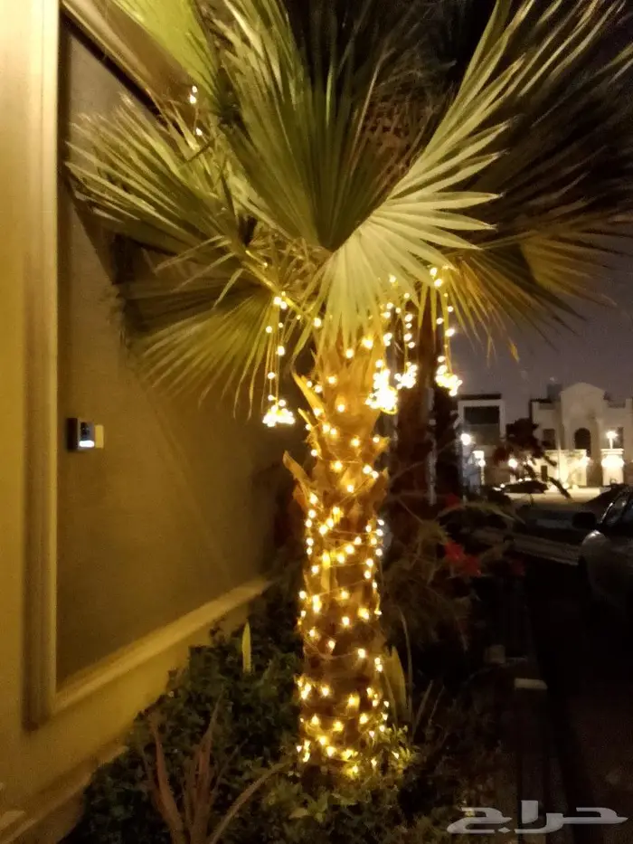زينه رمضان هلال رمضان 33