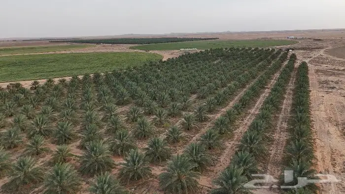 مصور مشاريع ومزا رع والطرق والعقارات الدمام الرياض الخرج 10