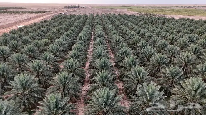 مصور مشاريع ومزا رع والطرق والعقارات الدمام الرياض الخرج 11