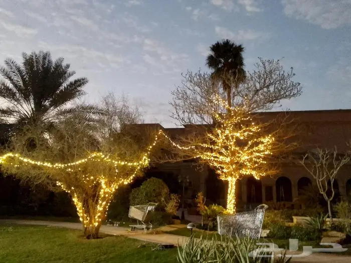 زينه رمضان هلال رمضان 16