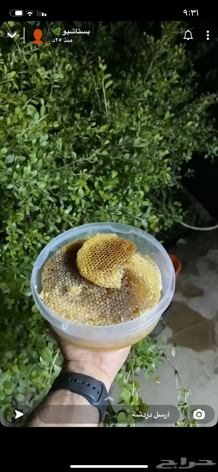 عسل السدر الجبلي بلدي واصلي 13