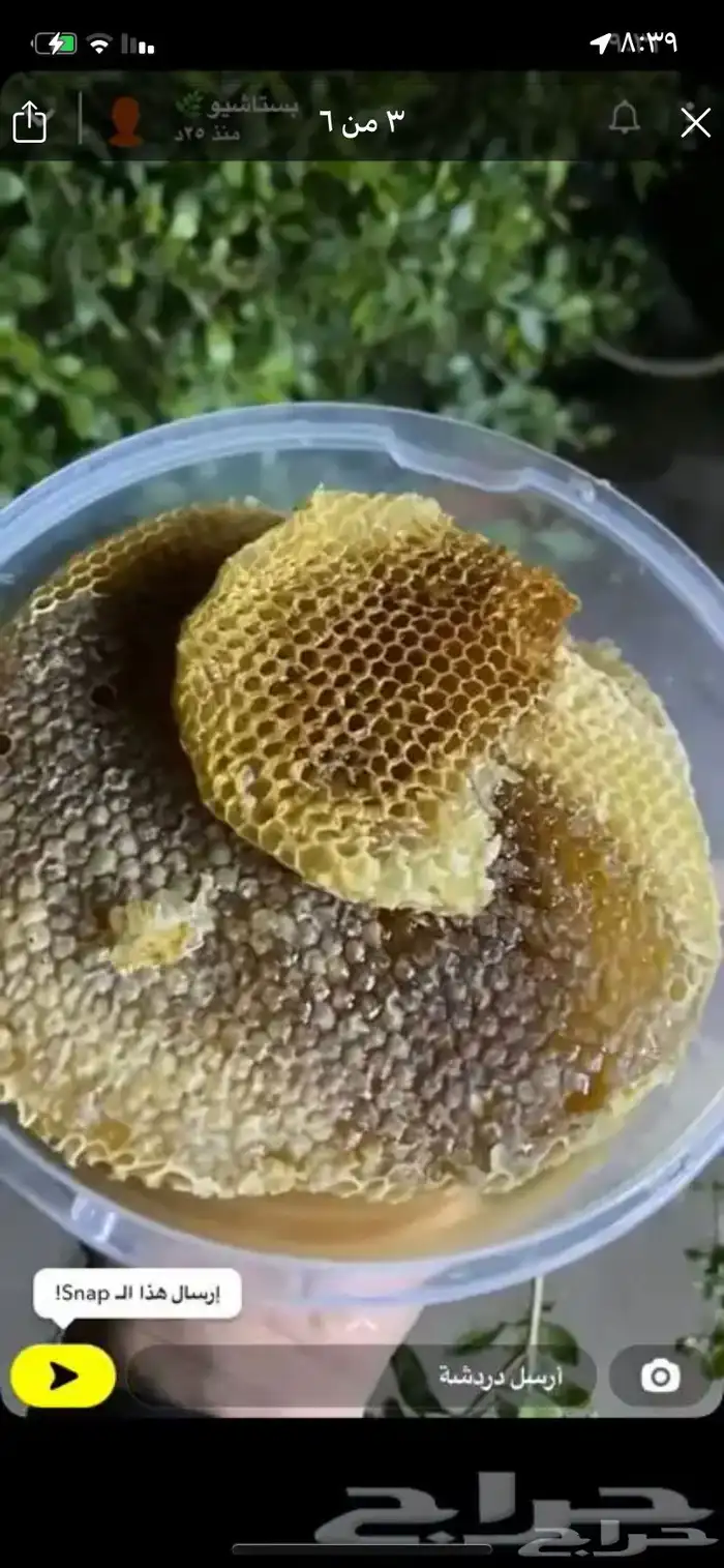 عسل السدر الجبلي بلدي واصلي 10