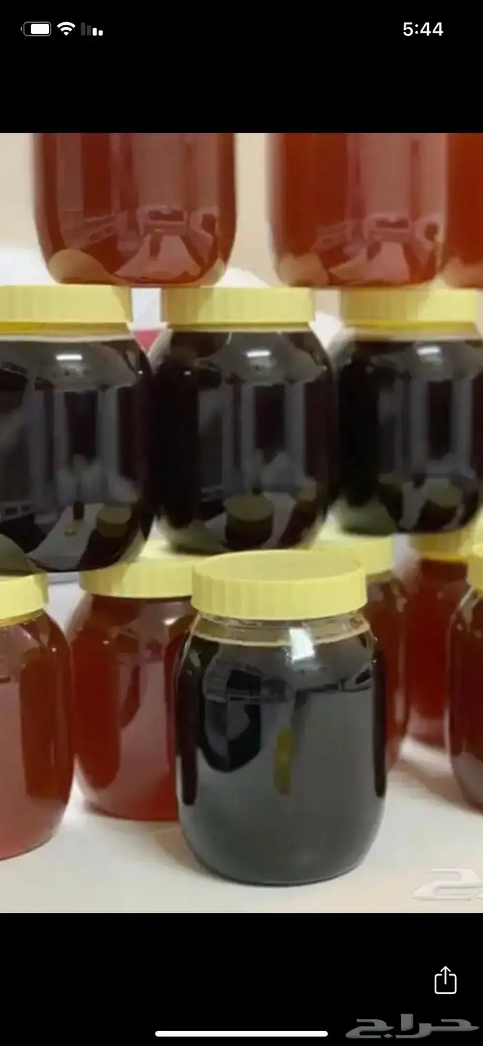 عسل السدر الجبلي بلدي واصلي 4