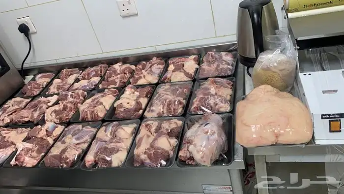 غنم حريات نظيفه وشي طيب من الاخر 13