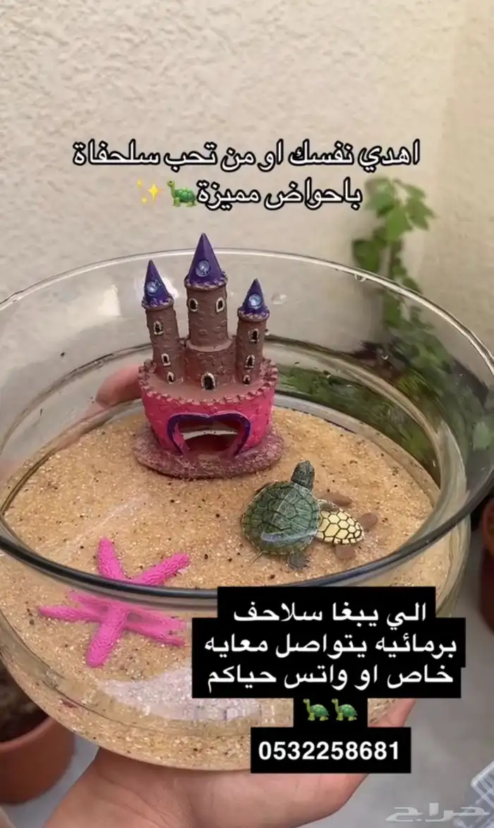 سمك فايتر و سلاحف برمائيه 2