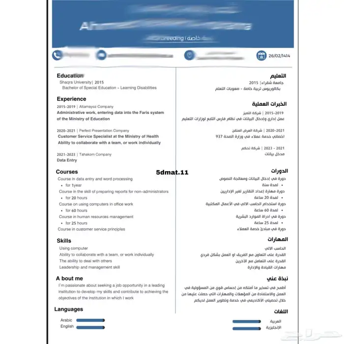 تصميم سير ذاتية نمط ATS 17