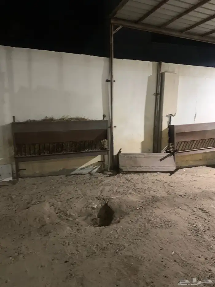 حظائر أغنام للايجار 5