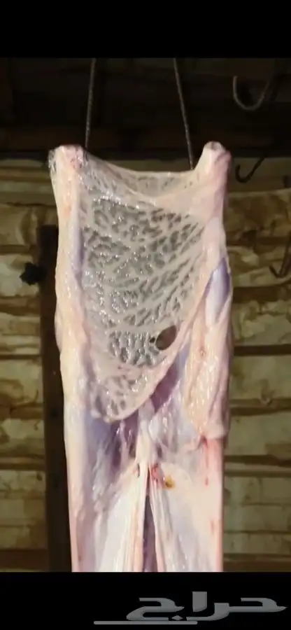 ذبيحتك تاصلك لباب بيتك بكل ذمه وأمانه بإشراف شاب سعودي 8