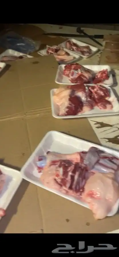 ذبيحتك تاصلك لباب بيتك بكل ذمه وأمانه بإشراف شاب سعودي 9