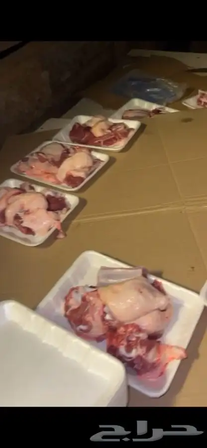 ذبيحتك تاصلك لباب بيتك بكل ذمه وأمانه بإشراف شاب سعودي 10