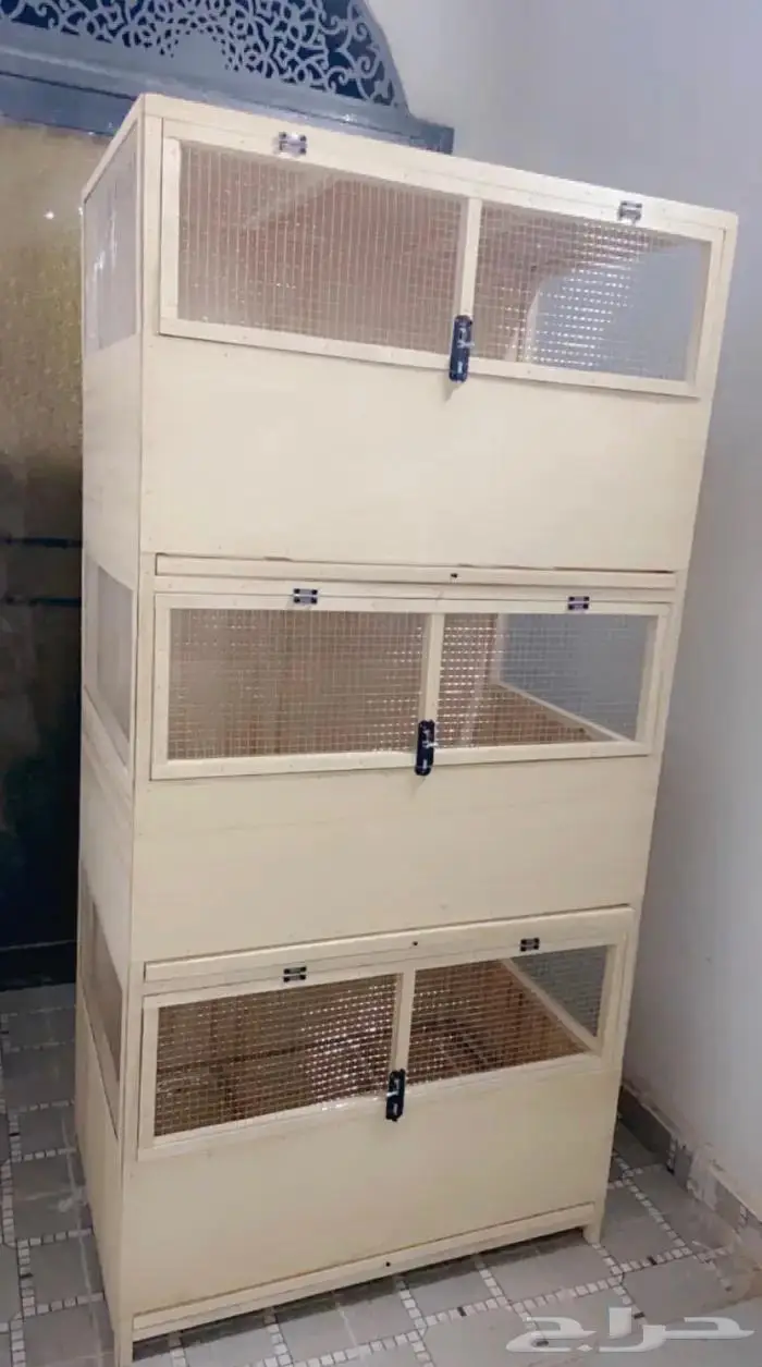 حضانة صوص دجاج بط وز سمان نعام دجاج رومي 2