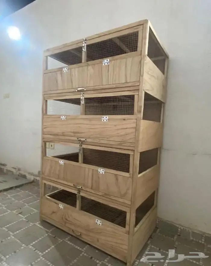 حضانة صوص دجاج بط وز سمان نعام دجاج رومي 3