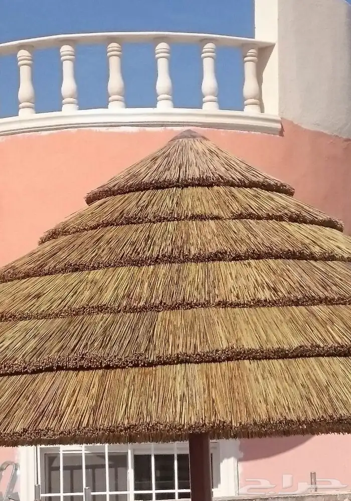مواد بامبو قش افريقي شرائح كميات جمله 1