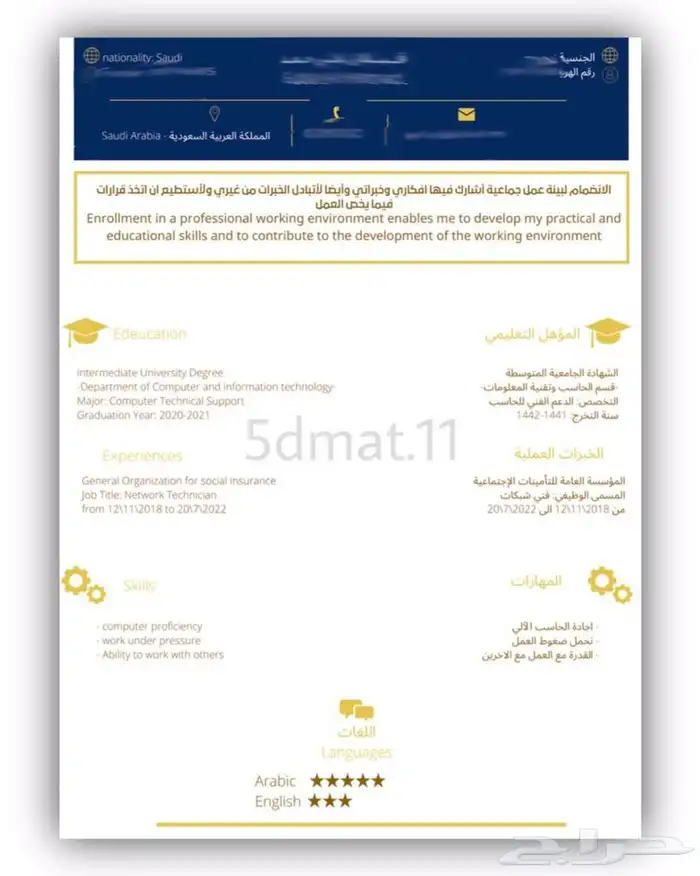 تصميم سير ذاتية نمط ATS 13