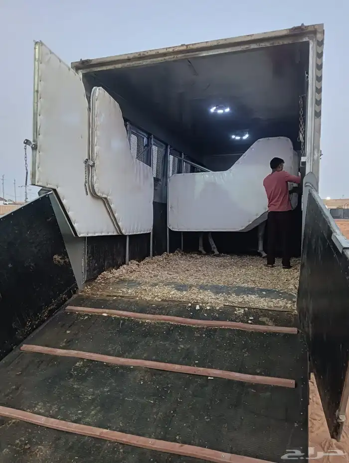 دنة نقل خيل حصان فرس مهر 0