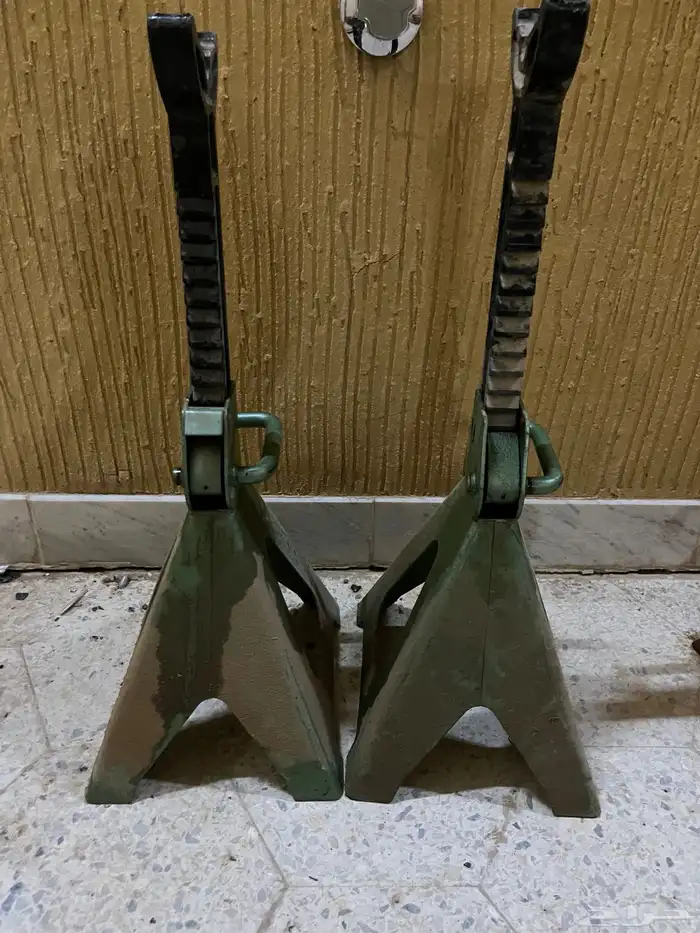 جحش كبير صيني 3