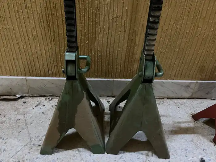 جحش كبير صيني 2