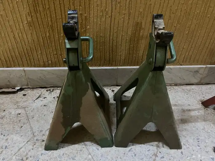 جحش كبير صيني 1